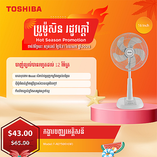 Toshiba Electric Fan 16 inch